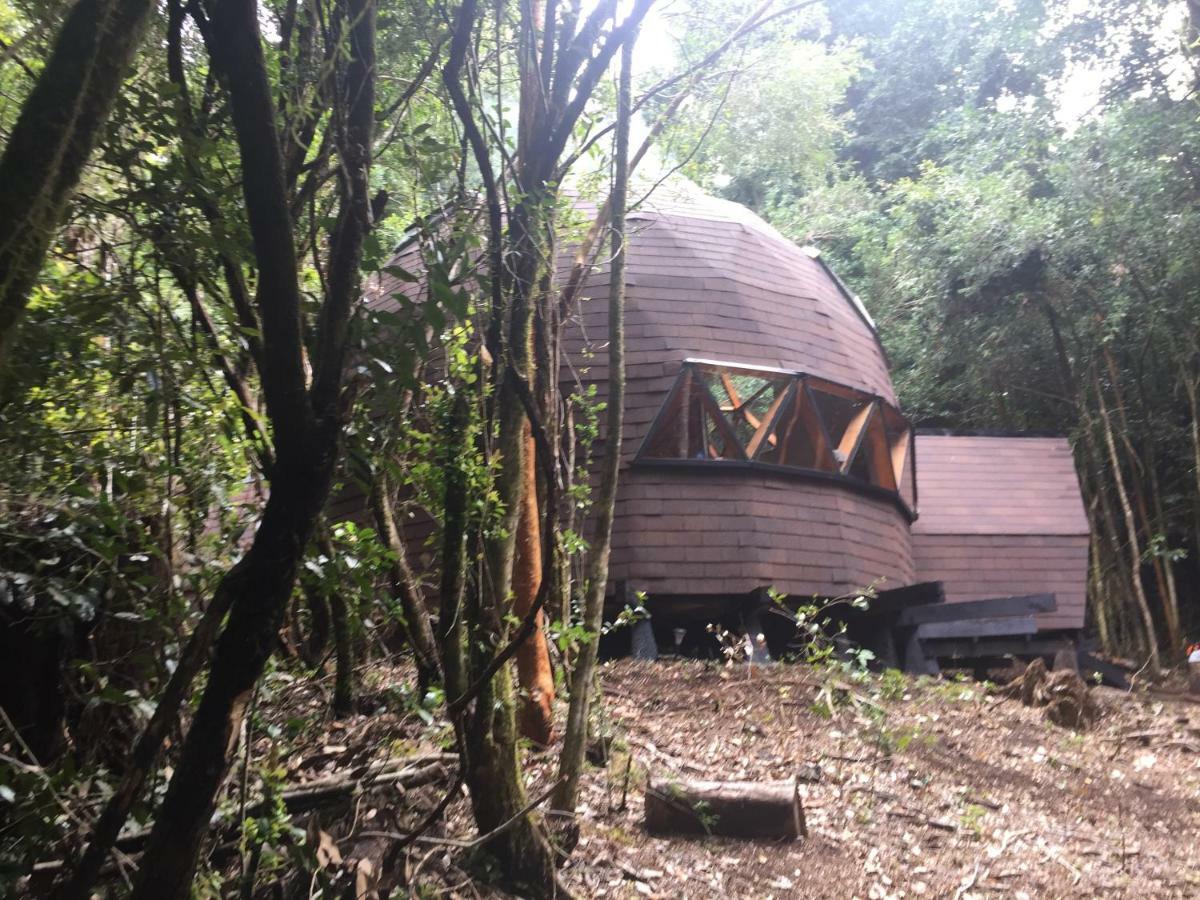 Domos Hijos Del Bosque Apartment Coñaripe Exterior foto